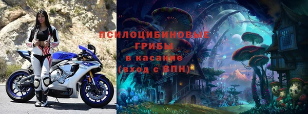 кокс Богородицк