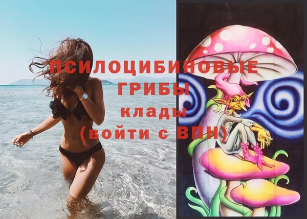 амфетамин Богданович
