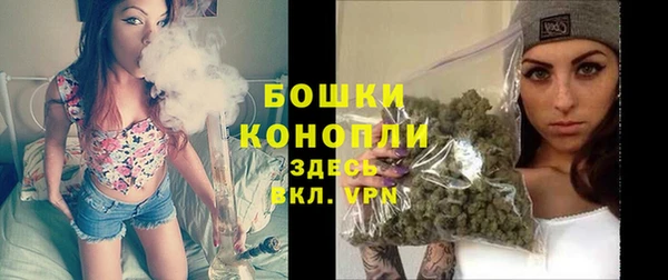 кокс Богородицк