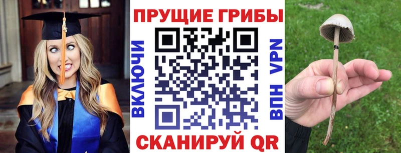 ссылка на мегу ссылки как найти закладки Краснозаводск Галлюциногенные грибы мухоморы